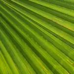 Er strandtæpper allergivenlige?